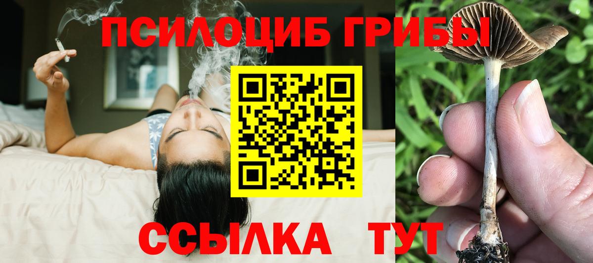 Галлюциногенные грибы Magic Shrooms Богородицк
