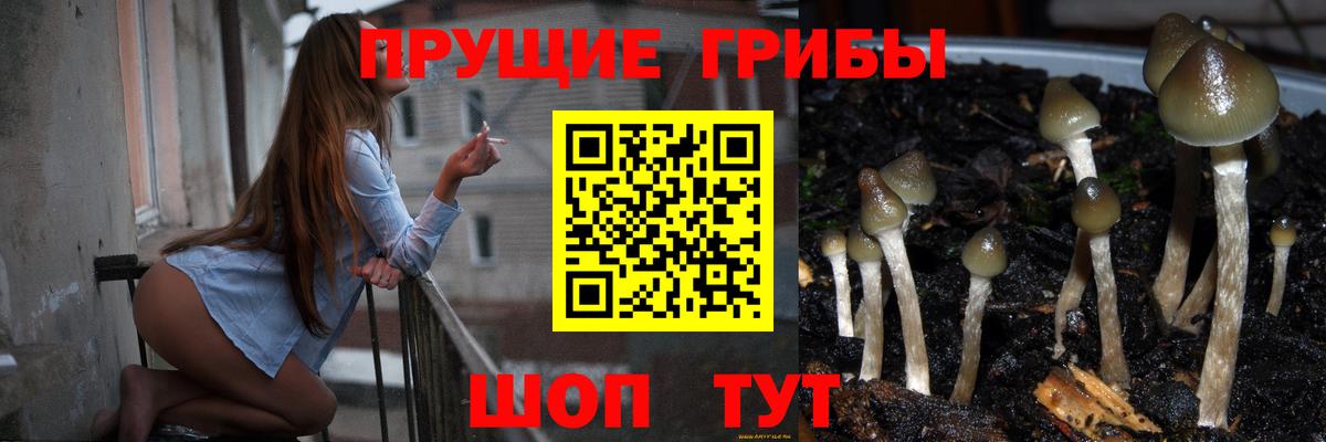 Псилоцибиновые грибы Psilocybine cubensis  Вход с VPN  Богородицк 